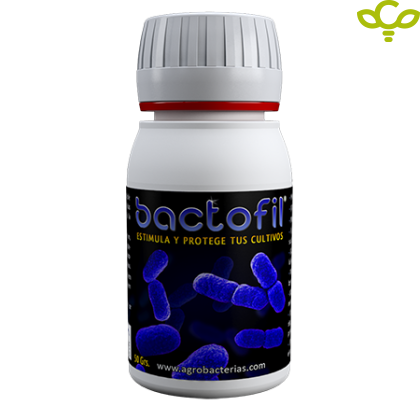 Bactofil 60ml