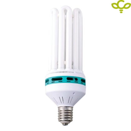Compact DUAL CFL 150W (red/blue)