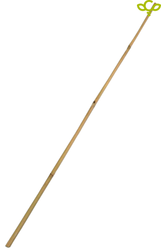 Bamboo stick 180cm