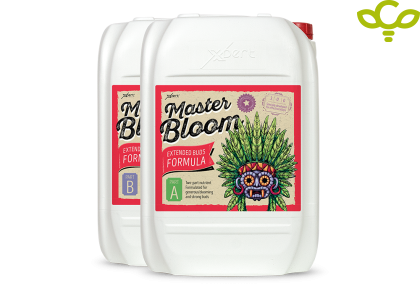 Master Bloom A+B 20L - Basic nutrient Bloom