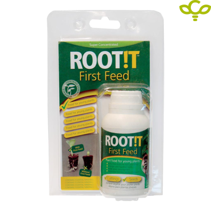 Root !t First Feed