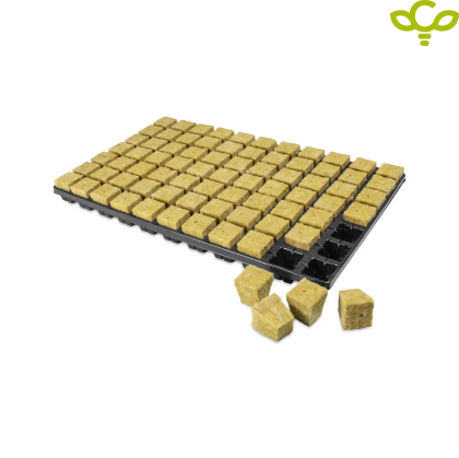 Cultilene cubes in a tray - 77 pcs