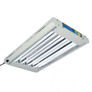 LightWave T5 44-HO CFL светло (216 W) 4ft 4-tube (1190 x 365 x 60mm)