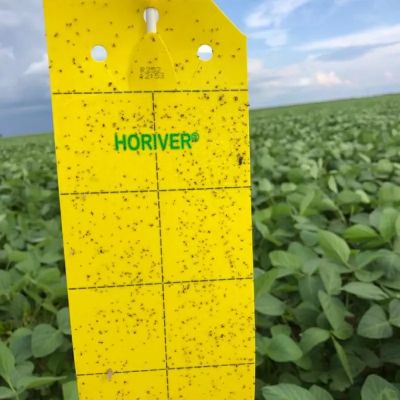 Horiver - Sticky traps for flying insects