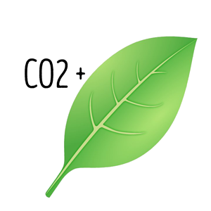 ИЗВОРИ  НА CO2