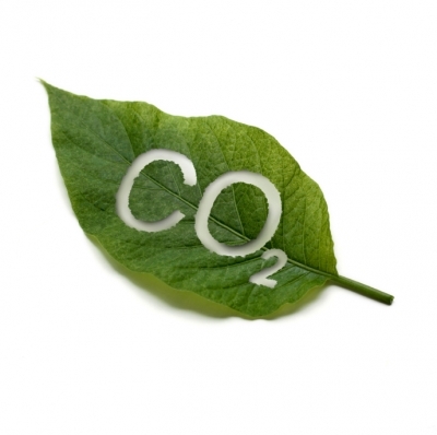 ИЗВОРИ  НА CO2