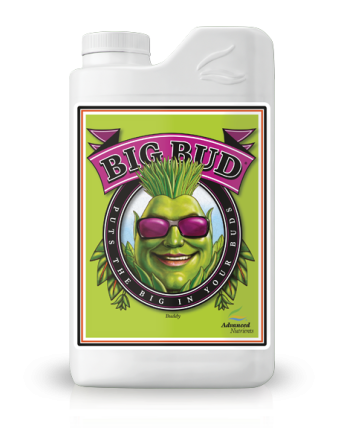 Big Bud 0.500L
