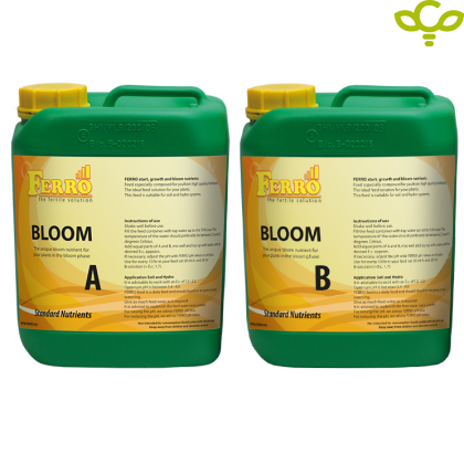 Ferro Standart Bloom A + B 5L