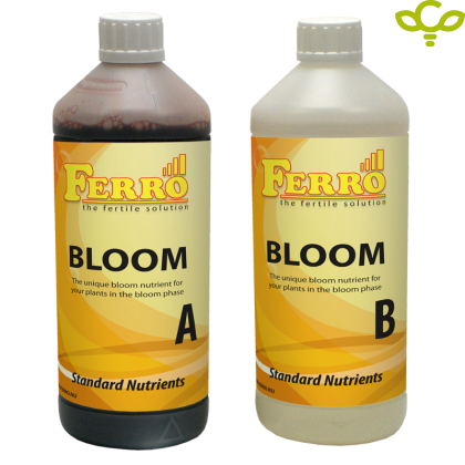 Ferro Standart Bloom A + B 1L