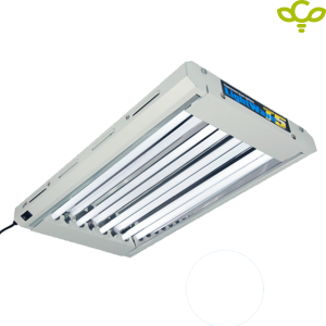 LightWave T5 24-HO CFL светло (96 W) 2ft 4-tube (600 x 370 x 60mm)