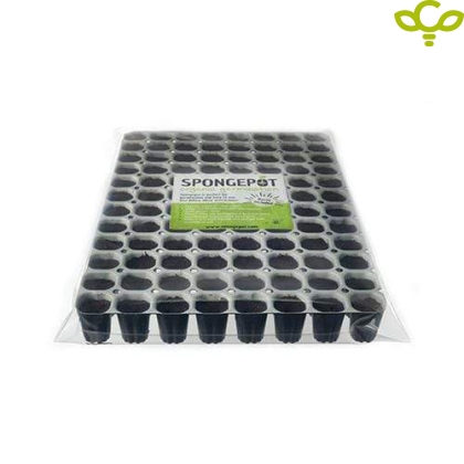 Spongepot tray 96 - peat germination blocks