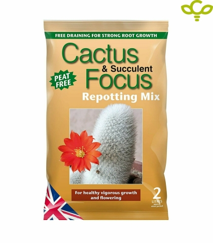 Cactus & Succulent focus 2L - супстрат за кактуси и сукуленти