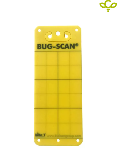 Bug-Scan YELLOW against flying pests