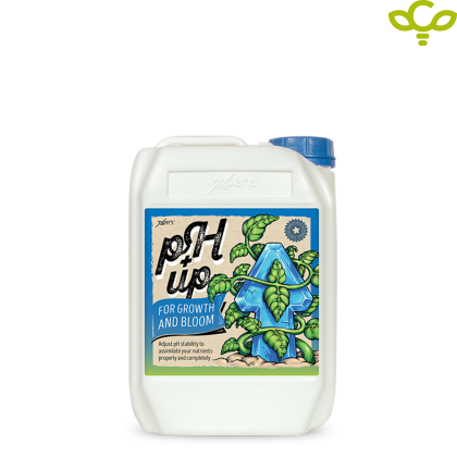 Xpert Nutrients pH Up for Growth and Bloom 5L - pH UP Regulator