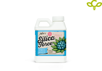 Silica Force 250ml - Silicon Supplement