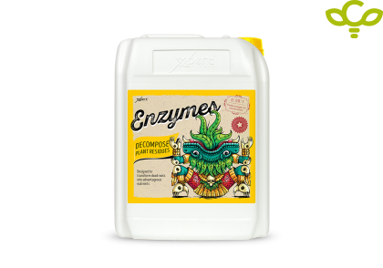 Enzymes – Organic Enzymatic Additive for Decomposition