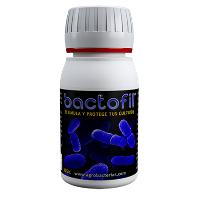 Bactofil 50g - стимулатор на растење