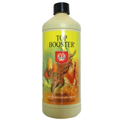 TOP BOOSTER 0.250ml