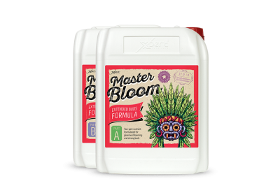 Master Bloom A+B 10L - Basic nutrient for Bloom
