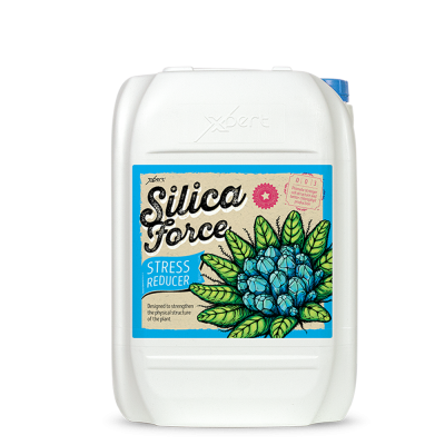 Silica Force 20L - Silicon Supplement
