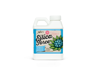 Silica Force 250ml - Silicon Supplement