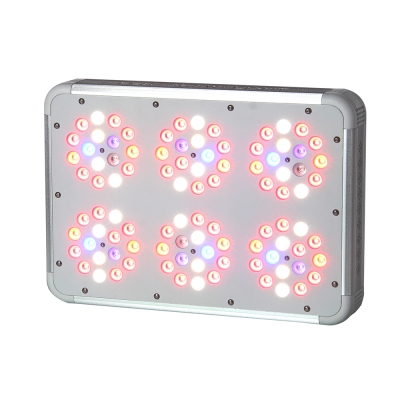 Apollo 6 Plus LED - për Rritje dhe Lulëzim